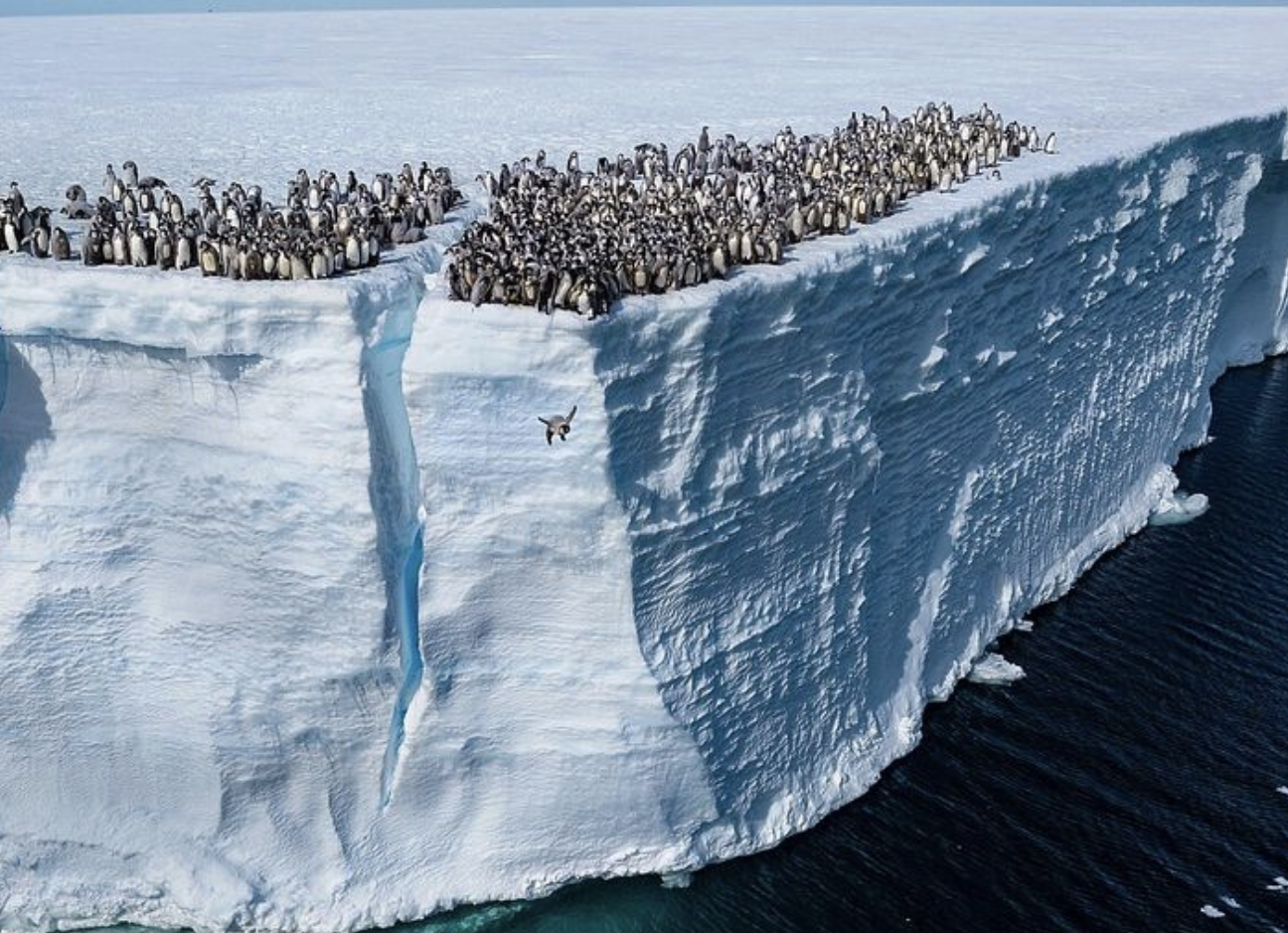 Asombroso pero real: 4 datos curiosos del mundo que desafían lo que creías saber